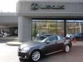 Smoky Granite Mica - IS 250 AWD Photo No. 1