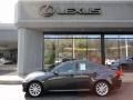 Smoky Granite Mica - IS 250 AWD Photo No. 2