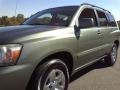 Oasis Green Pearl - Highlander I4 Photo No. 21