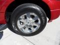 Redfire Metallic - Expedition XLT Photo No. 15