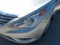 Radiant Silver - Sonata GLS Photo No. 9