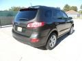 2012 Black Forest Green Hyundai Santa Fe SE V6  photo #3