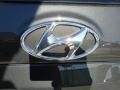 2012 Black Forest Green Hyundai Santa Fe SE V6  photo #16