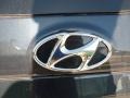 2012 Hyundai Santa Fe Limited V6 Badge and Logo Photo