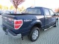 2010 Dark Blue Pearl Metallic Ford F150 XLT SuperCrew 4x4  photo #5