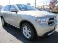 White Gold - Durango SXT Photo No. 4