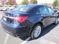 Blackberry Pearl Coat - 200 Limited Sedan Photo No. 3