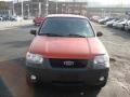 Blazing Copper Metallic - Escape XLT V6 Photo No. 3