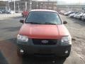 2007 Blazing Copper Metallic Ford Escape XLT V6  photo #3