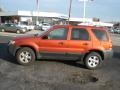 2007 Blazing Copper Metallic Ford Escape XLT V6  photo #5