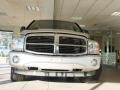 2004 Brilliant Silver Metallic Dodge Durango Limited 4x4  photo #11