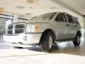 2004 Brilliant Silver Metallic Dodge Durango Limited 4x4  photo #12