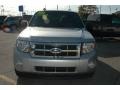 2010 Ingot Silver Metallic Ford Escape XLT V6  photo #2