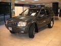2001 Steel Blue Pearl Jeep Grand Cherokee Limited 4x4  photo #9