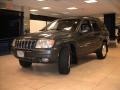 Steel Blue Pearl - Grand Cherokee Limited 4x4 Photo No. 26