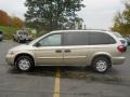 Linen Gold Metallic - Grand Caravan SE Photo No. 13