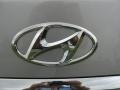 2011 Hyundai Genesis 3.8 Sedan Badge and Logo Photo