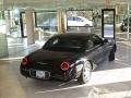 Evening Black - Thunderbird Premium Roadster Photo No. 28