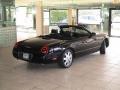 Evening Black - Thunderbird Premium Roadster Photo No. 40