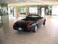 Evening Black - Thunderbird Premium Roadster Photo No. 41