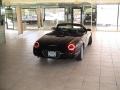 Evening Black - Thunderbird Premium Roadster Photo No. 42