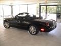 Evening Black - Thunderbird Premium Roadster Photo No. 48