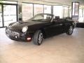 Evening Black - Thunderbird Premium Roadster Photo No. 49