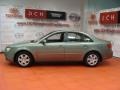 Natural Khaki - Sonata GLS Photo No. 4