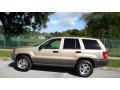 1999 Champagne Pearl Jeep Grand Cherokee Laredo 4x4  photo #4