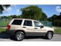 1999 Champagne Pearl Jeep Grand Cherokee Laredo 4x4  photo #12