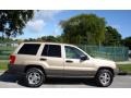 Champagne Pearl - Grand Cherokee Laredo 4x4 Photo No. 13