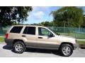 Champagne Pearl - Grand Cherokee Laredo 4x4 Photo No. 14