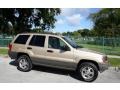 Champagne Pearl - Grand Cherokee Laredo 4x4 Photo No. 15