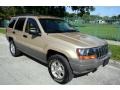 1999 Champagne Pearl Jeep Grand Cherokee Laredo 4x4  photo #18