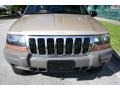 Champagne Pearl - Grand Cherokee Laredo 4x4 Photo No. 19