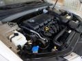 Camel Pearl - Sonata GLS Photo No. 19