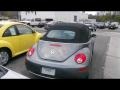 Platinum Grey - New Beetle 2.5 Convertible Photo No. 7