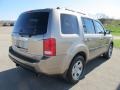 2010 Mocha Metallic Honda Pilot LX 4WD  photo #17