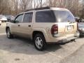 Sandstone Metallic - TrailBlazer EXT LS 4x4 Photo No. 3