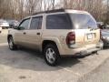 2006 Sandstone Metallic Chevrolet TrailBlazer EXT LS 4x4  photo #3