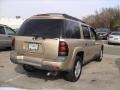 2006 Sandstone Metallic Chevrolet TrailBlazer EXT LS 4x4  photo #4