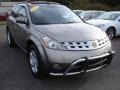 Polished Pewter Metallic - Murano SL AWD Photo No. 3