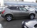 Polished Pewter Metallic - Murano SL AWD Photo No. 7