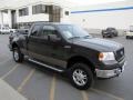 2005 Dark Stone Metallic Ford F150 XLT SuperCab 4x4  photo #28