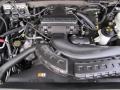 5.4 Liter SOHC 24-Valve Triton V8 2005 Ford F150 XLT SuperCab 4x4 Engine