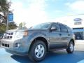 Sterling Gray Metallic - Escape XLT Photo No. 1