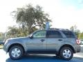Sterling Gray Metallic - Escape XLT Photo No. 2