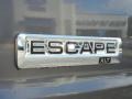 Sterling Gray Metallic - Escape XLT Photo No. 4