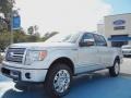 2011 Ingot Silver Metallic Ford F150 Platinum SuperCrew 4x4  photo #1