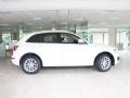 2009 Ibis White Audi Q5 3.2 Premium quattro  photo #5